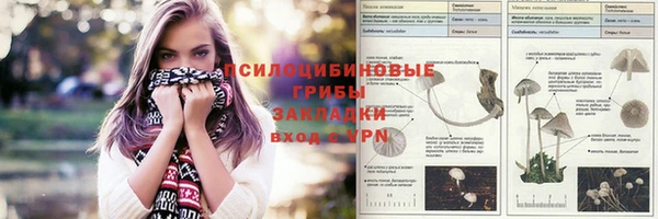 прущий лед Елизово