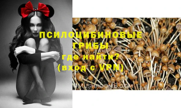 прущая мука Елабуга