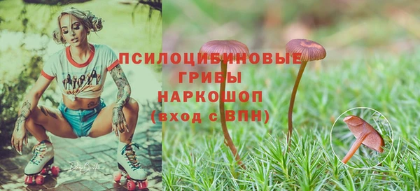 альфа пвп Ельня