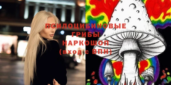 прущий лед Елизово