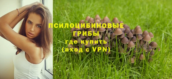 прущая мука Елабуга