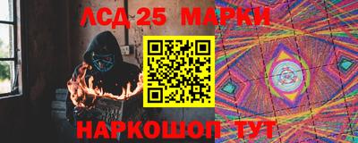 кокс Донской