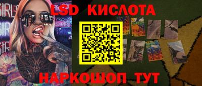кокс Донской