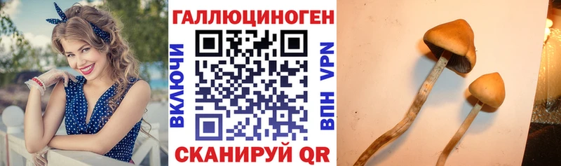 как найти закладки  Канск  Галлюциногенные грибы ЛСД 