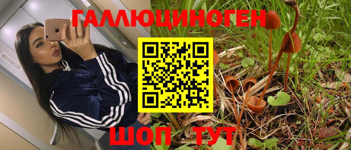 Псилоцибиновые грибы прущие грибы Канск