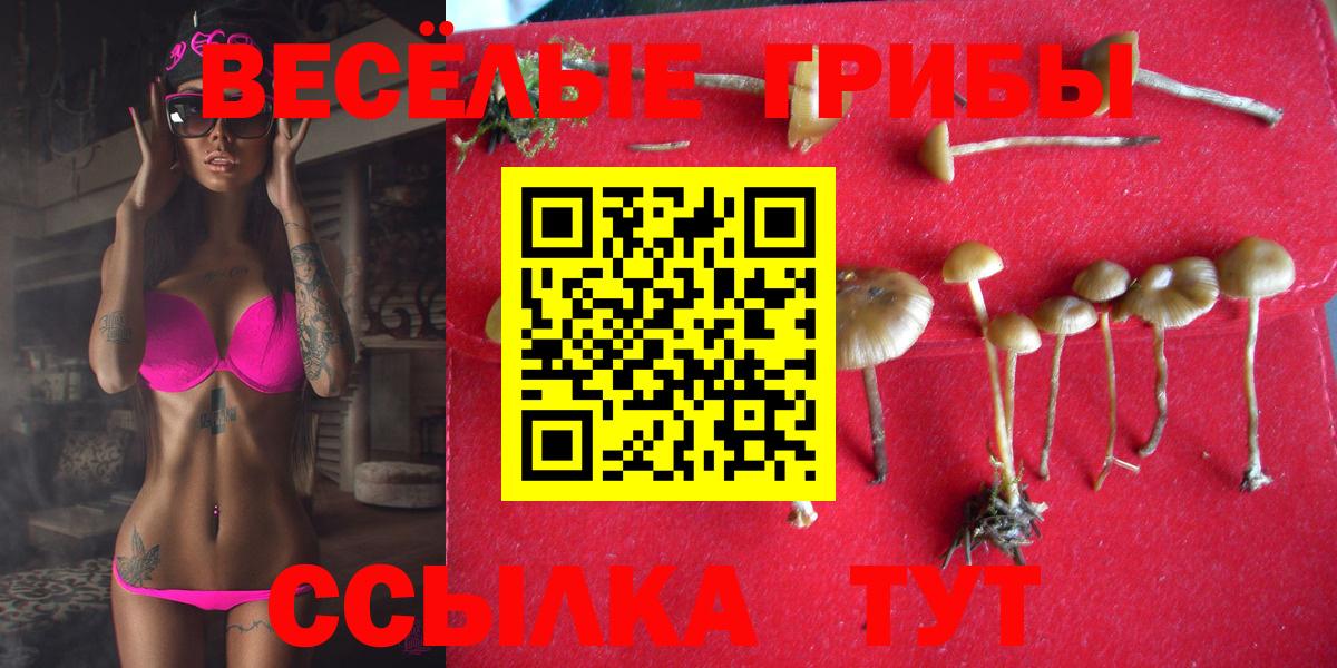 Галлюциногенные грибы мицелий Канск