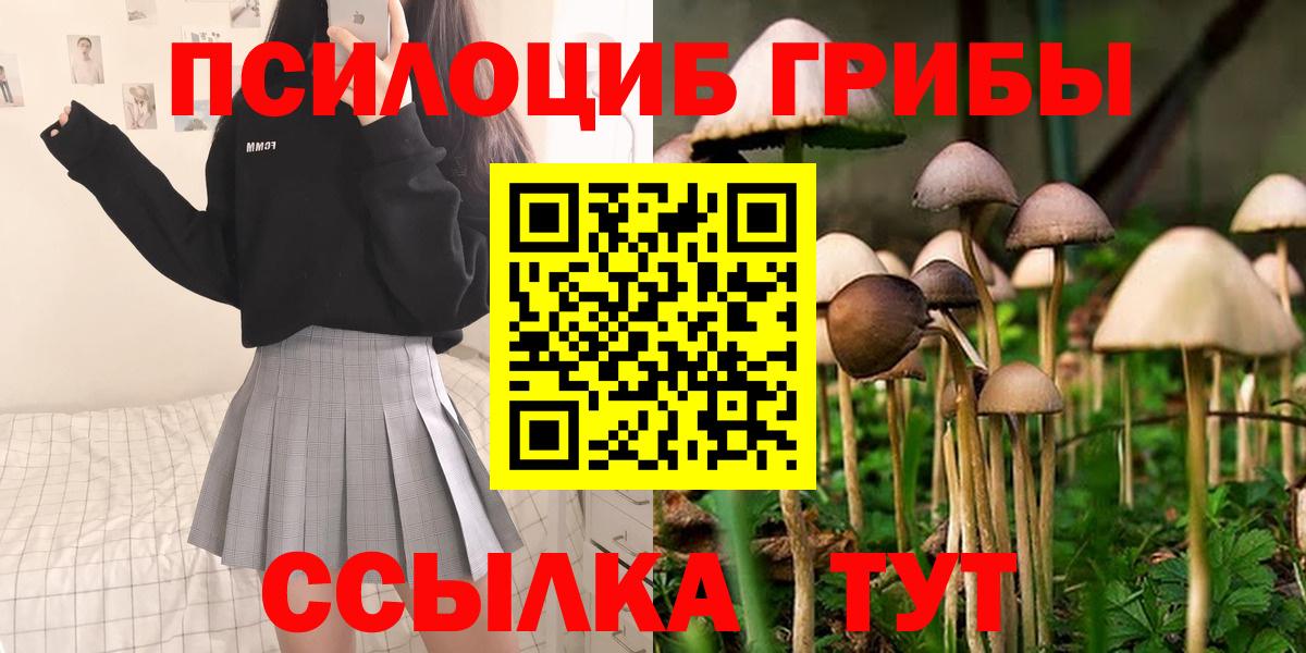 Канск  Псилоцибиновые грибы мухоморы  Вход с VPN 